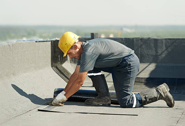 Best Geographic-Specific Insulation Services in Milledgeville, GA